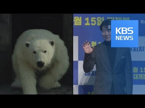 [연예수첩] ‘사람이 아니어도 OK!’ 동물로 변신한 배우들 / KBS뉴스(News)
