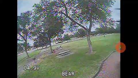 Bugs 8 pro fast rip in park