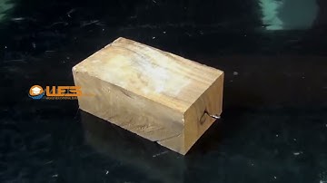 Velocity of a Pulse Propagated Through a Slinky | 9th Physics | Video