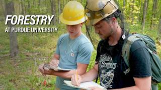 Forestry: Explore the Possibilities at Purdue University