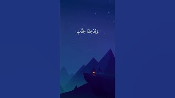 القارئ انس المالك