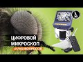 ДЛЯ ЧЕГО НУЖЕН ЦИФРОВОЙ МИКРОСКОП?