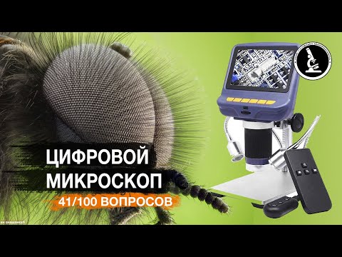 Видео: Для чего нужен составной микроскоп?