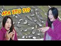 BANJIR IKAN DI DEPAN RUMAHKU !!! GOT DI JEPANG