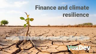 Finance and climate resilience
