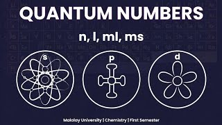 Quantum Numbers Explained | Principal, Azimuthal, Magnetic & Spin | Chemistry Lesson"