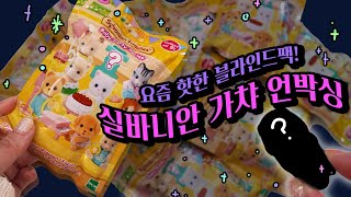 실바니안이 핫하길래 헐레벌떡 가져온 가챠 언박싱🐹 feat. 짭 두더지...