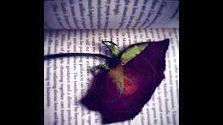 John McCormack - Love's Roses (1933)