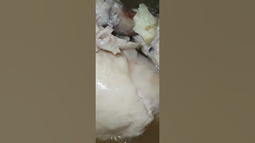 Home cooked nutritious Dong Guai Chicken soup with dried Longans and Goji Berries