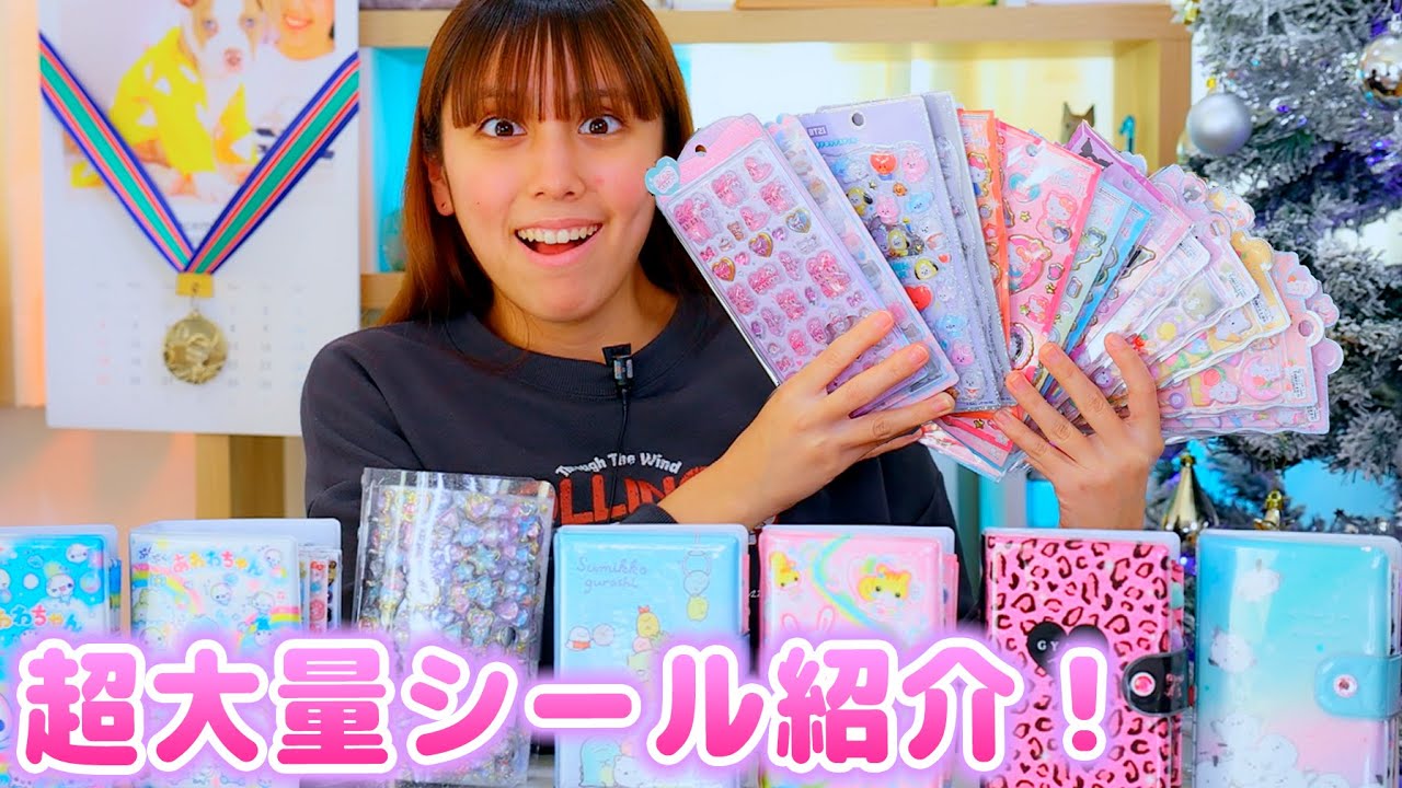 シールを大量ゲット！過去1の量で大興奮！新しいシール帳も！【シール】