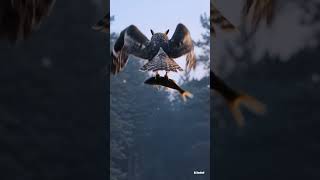 Blakiston’s fish owl - AI Creative.