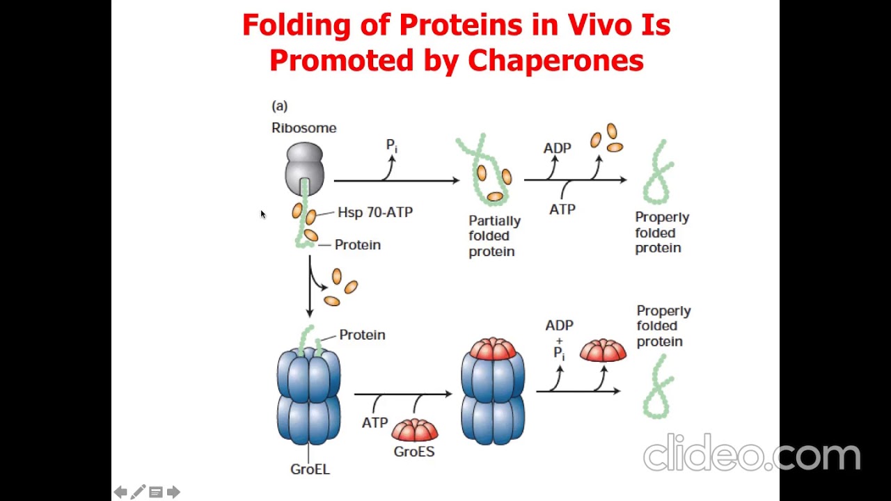 Post Translational Modification: Part 1