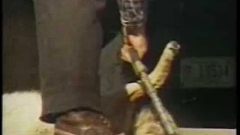 How To Skin a Coyote with Air