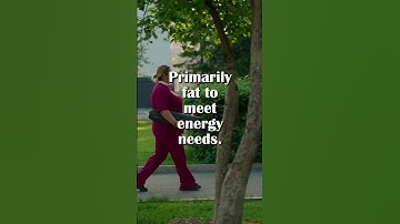 What is Calorie Deficit and counting calories?