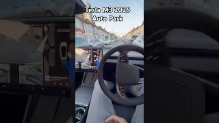 Tesla Model 3 2026 Autopark feature #tips #telsa #model3longrange #features