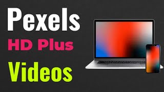 Pexels HD Plus Videos And Photos App Review screenshot 1