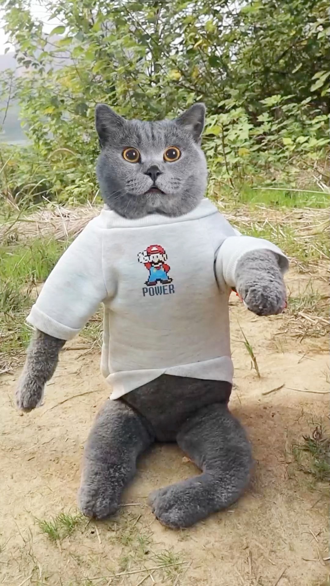 Don't Throw Away The Bugs?, They're Tasty Treats For Frogs!?✌️ #catvideos #catmemes #trending