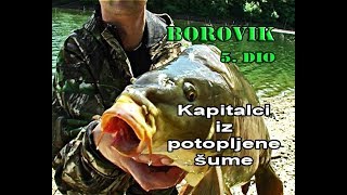 Neizvjesno Drilanje Šarančina U Granju, Borovik - Kapitalci Iz Potopljene Šume E-55 Vsp Pavičić