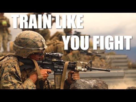 Train Like You Fight 