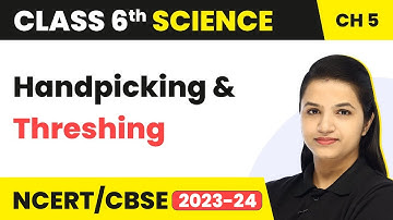 Class 6 Science Chapter 5 | Separation of Substances - Handpicking & Threshing