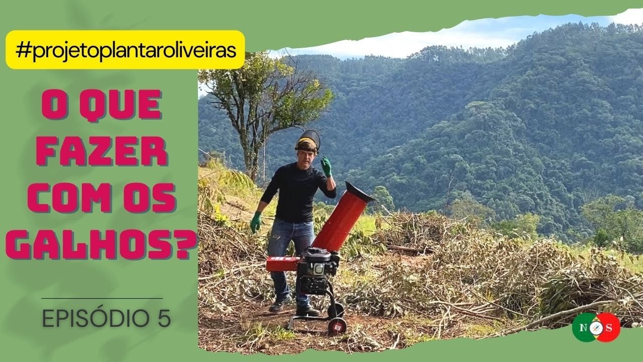 VAMOS TRITURAR OS GALHOS PARA ADUBAR A TERRA. SQN... EP.5