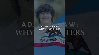 California Passed Adam's Law. OpenAI Is Asking Newsom to Sign It.