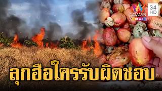 ฮุนเซนสะดุ้ง ไฟไหม้วอดสวนมะม่วงหิมพานต์ ใครรับผิดชอบ | ข่าวอรุณอมรินทร์ | 22/02/69