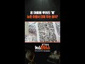 온 마을에 뿌려진 生 '똥' 농촌 마을서 대체 무슨 일이? #shorts