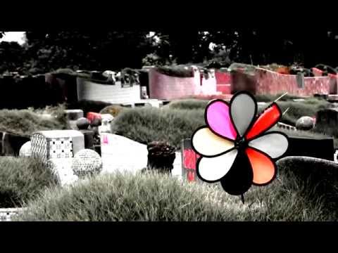鬼节烧 iPhone，它们收得到吗？