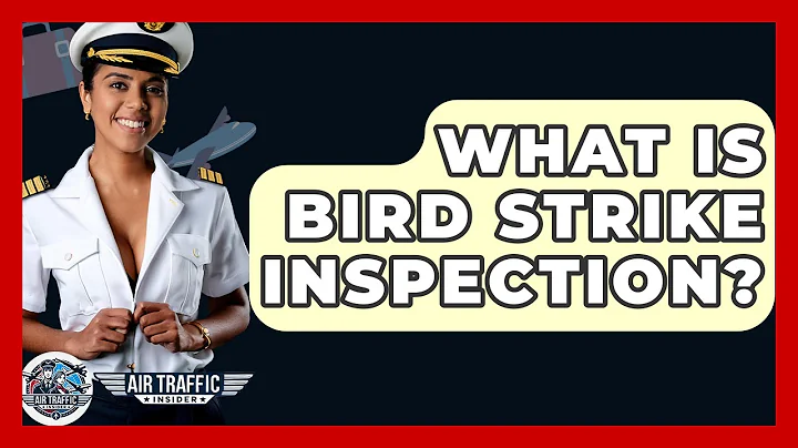 What Is Bird Strike Inspection? - Air Traffic Insider