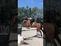 Stage de saut avec pinup equitation cheval equestrian jumping cso viral horse cavalier