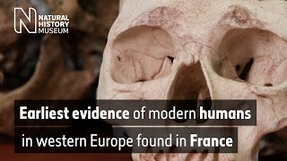 Earliest evidence of modern humans in western Europe found in France (Audio Described) by Natural History Museum 73 views 3 weeks ago 3 minutes, 35 seconds