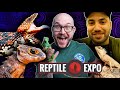 I Bought My Rarest Animal Yet! Finally Getting My DREAM Reptile with @Reptiliatus !