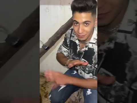 دخلت جحر الثعابين في الظلام لقيتهم بياكلو طيور غريبه 