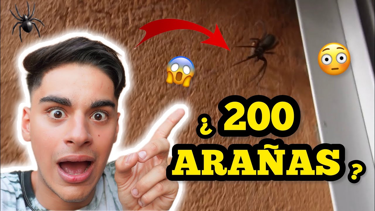 ¿200 ARAÑAS EN MI CASA?🧐🕷️ | JUANCITO INVESTIGA