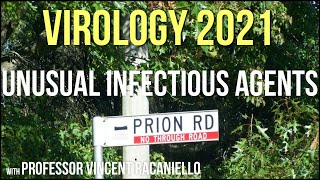 Virology Lectures 2021 #24 - Unusual Infectious Agents