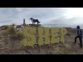 Shep—Our Most Loyal Dog Book Trailer