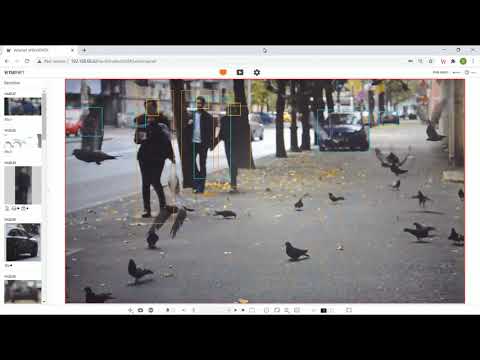 AI camera demo - filter wildlife - Hanwha