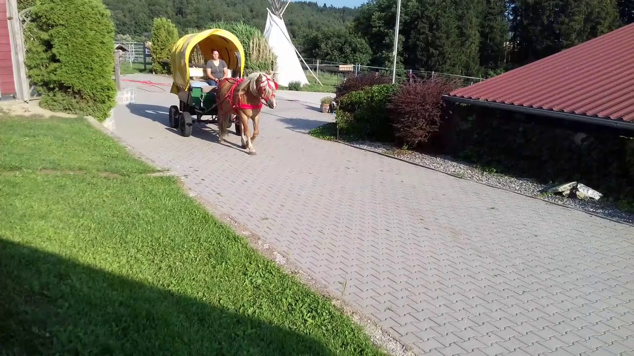 Planwagen fahren ☺