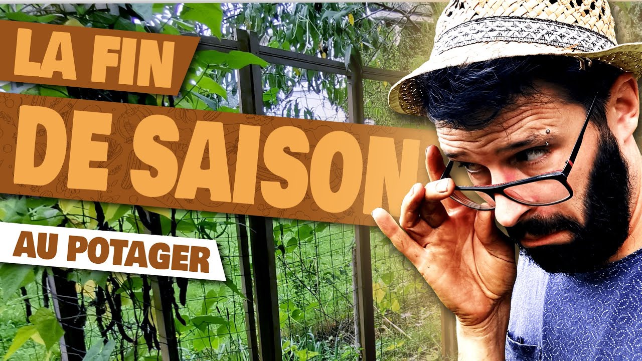 Le POTAGER en PERMACULTURE - Fin de la dernière saison