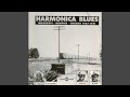 Miniature de la vidéo de la chanson Hobo Blues