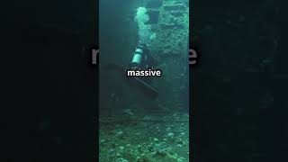 The Azores Underwater Pyramid Lost Civilization or Natural Wonder | #portugal #ancient #facts #world