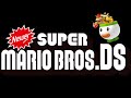 Final Boss Newer Super Mario Bros DS Final Boss Newer Super Mario Bros DS