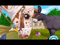 Mini donkey search  star stable online horse quest