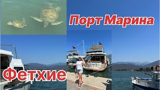 Огромные Черепахи в Порту Марина Фетхие #фетхие #турция #порт