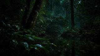 Jungle Night Sounds for Sleeping | Crickets & Distant Frogs (1 Hour)
