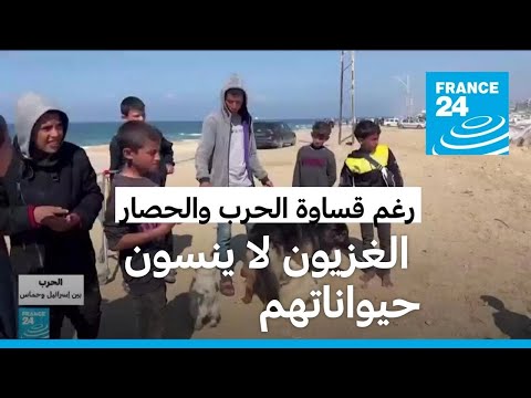 غزيون يصرون على رعاية كلابهم بالرغم من أوزار الحرب الثقيلة • فرانس 24 / FRANCE 24
 - نشر قبل 4 ساعة