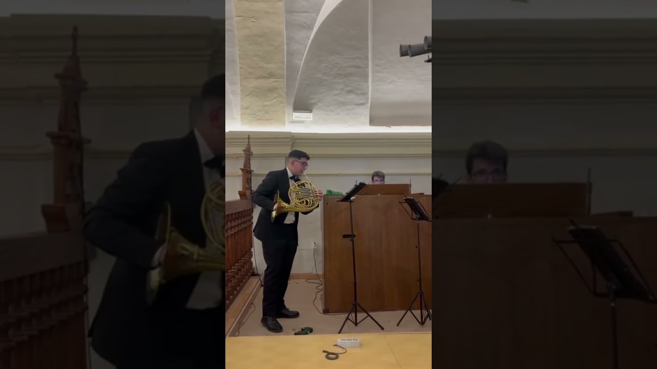 NOEL - Órgano, Voz y Trompa