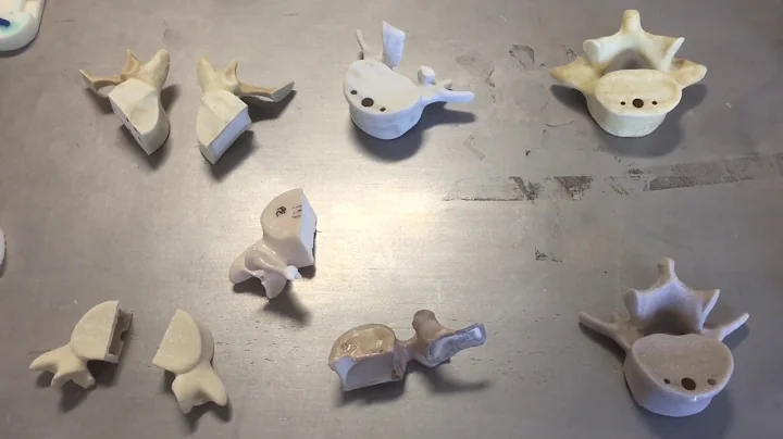 NTU research into 3D printing replica human bones