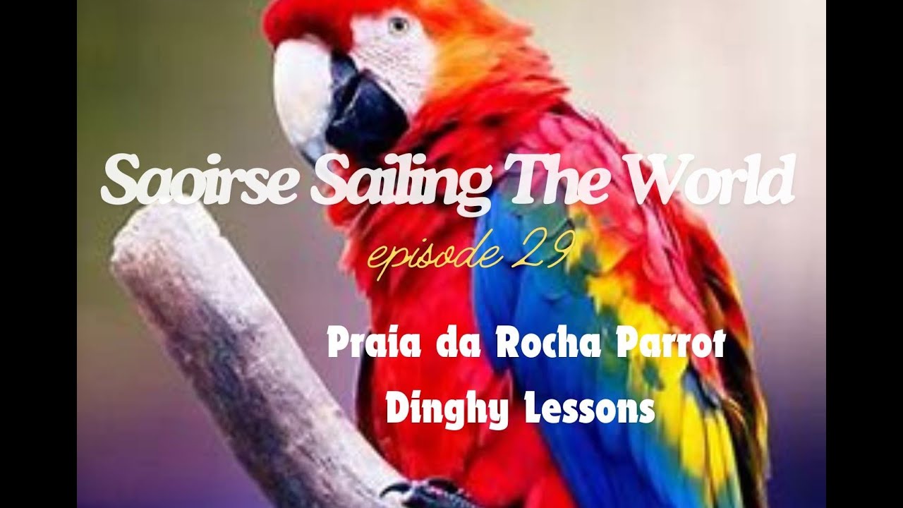 Parrot and Dog walks, Dinghy lessons, Saoirse STW 29